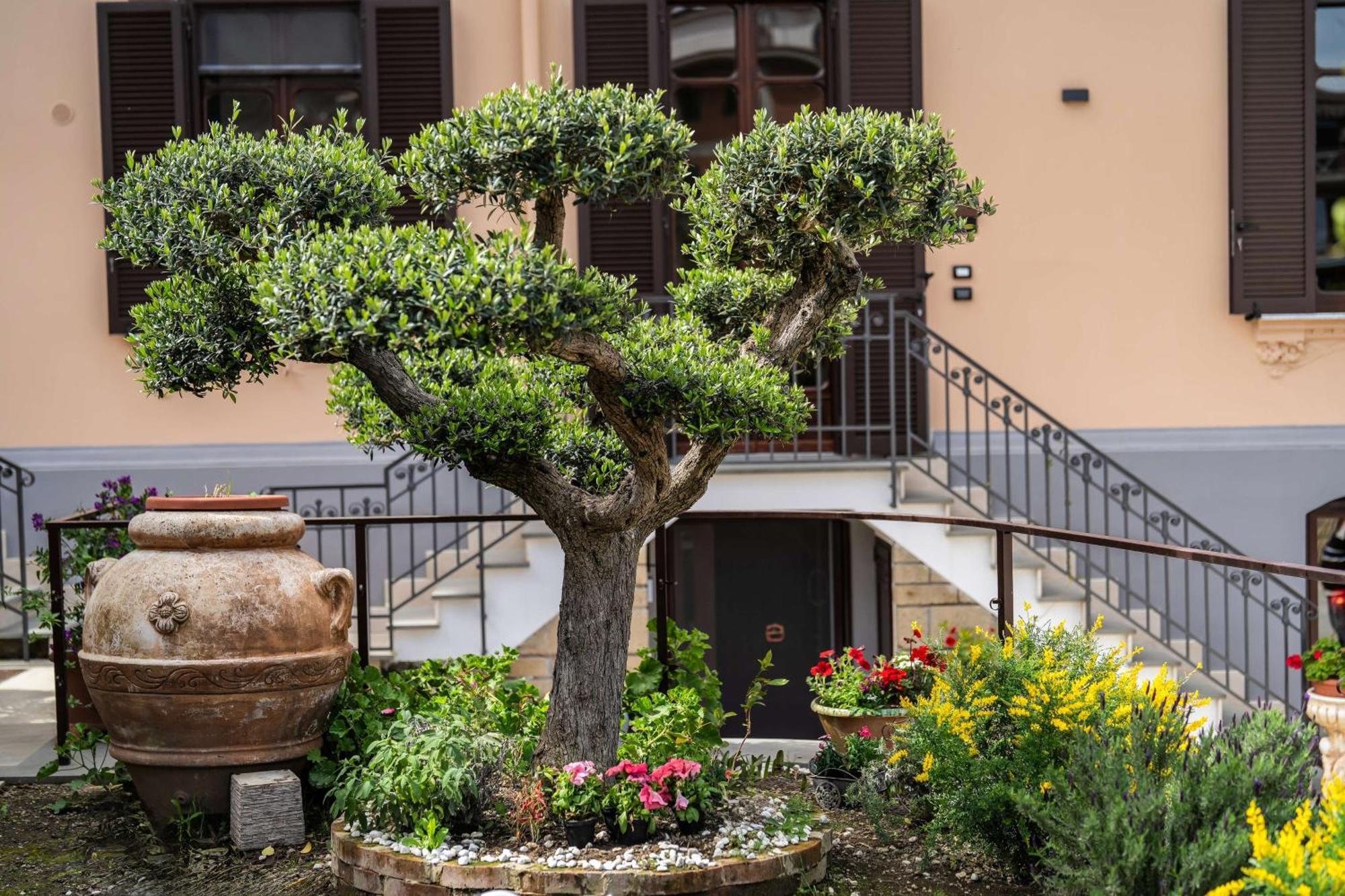 Villa Agostino Luxury B&B วีโกเอเกวนเซ ภายนอก รูปภาพ
